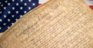 The Constitution for Government Employees